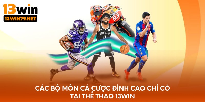 Các bộ môn cá cược đỉnh cao chỉ có tại thể thao 13WIN