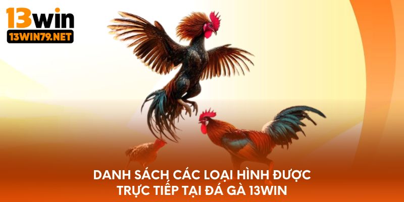 Danh sách các loại hình được trực tiếp tại đá gà 13WIN