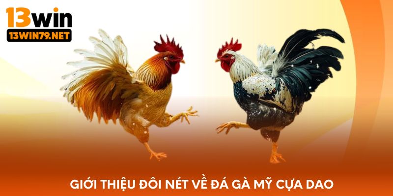 Giới thiệu đôi nét về đá gà mỹ cựa dao