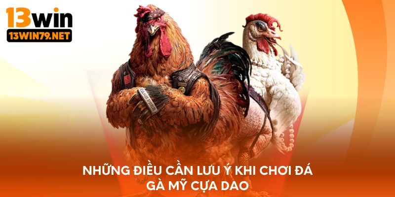 Những điều cần lưu ý khi chơi đá gà mỹ cựa dao