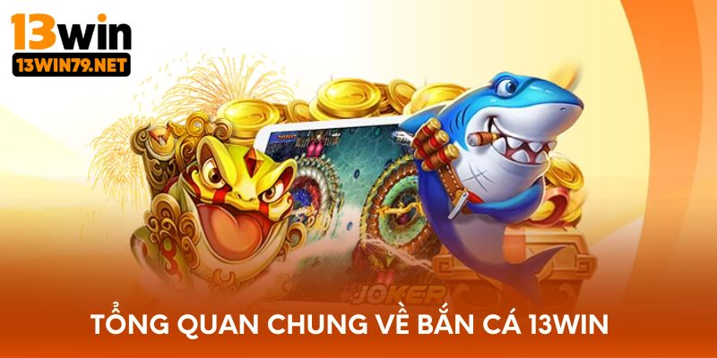 Tổng quan chung về bắn cá 13WIN